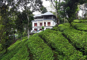 Tea Haze Cottage in Munnar